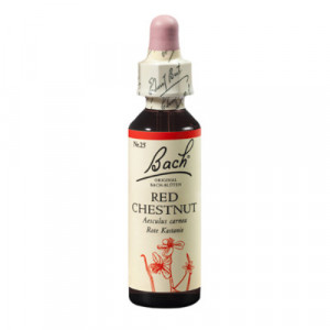 Produktbild von BACHBL&Uuml;TEN Red Chestnut Tropfen