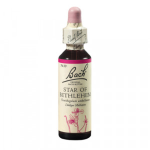 Produktbild von BACHBL&Uuml;TEN Star of Bethlehem Tropfen