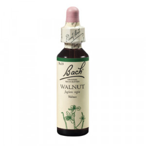 Produktbild von BACHBL&Uuml;TEN Walnut Tropfen