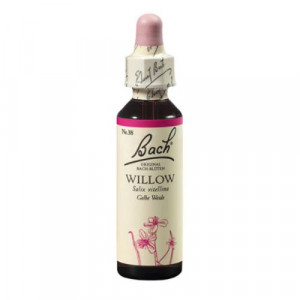Produktbild von BACHBL&Uuml;TEN Willow Tropfen